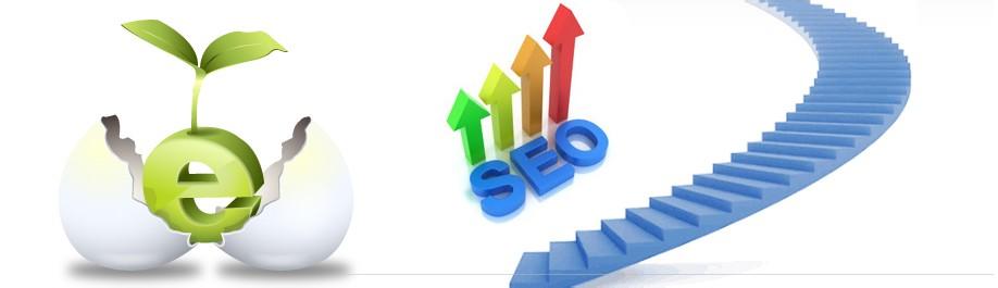 關于網站搜索排名的思索