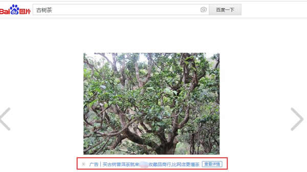 隱藏在自然排名中的百度推廣