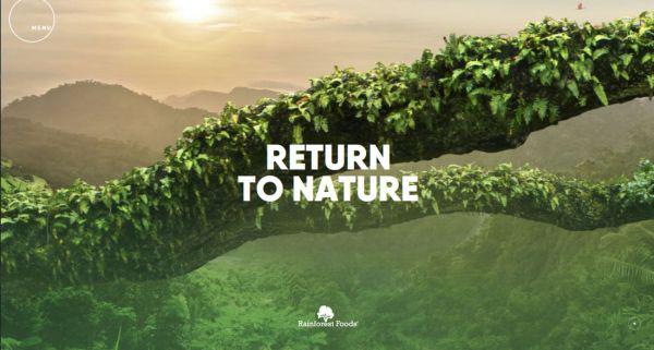 簡單易用的網站建設思路